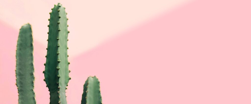 untitled design (40)
